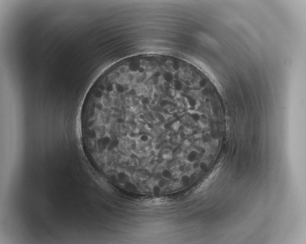 X0000101450891200807280937