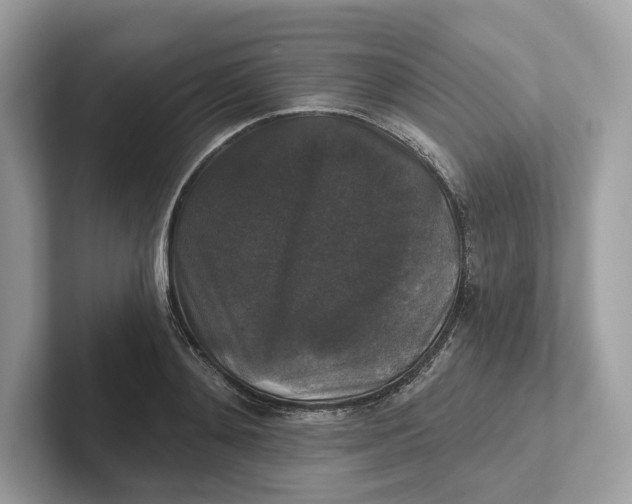 X0000101450892200807280937