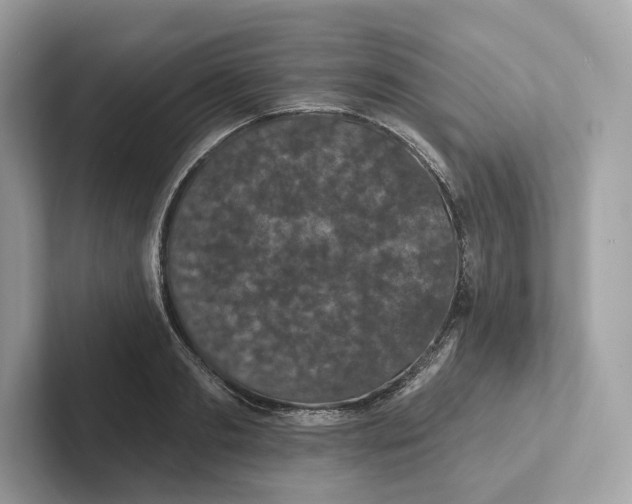 X0000101450893200807280937