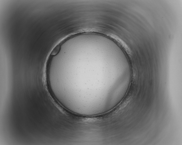 X0000101450894200807280937