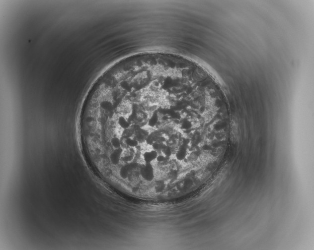 X0000101450895200807280937