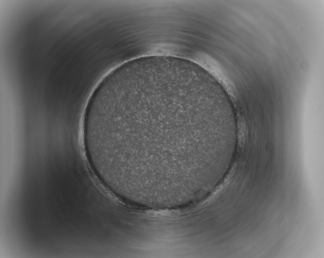 X0000101450896200807280937