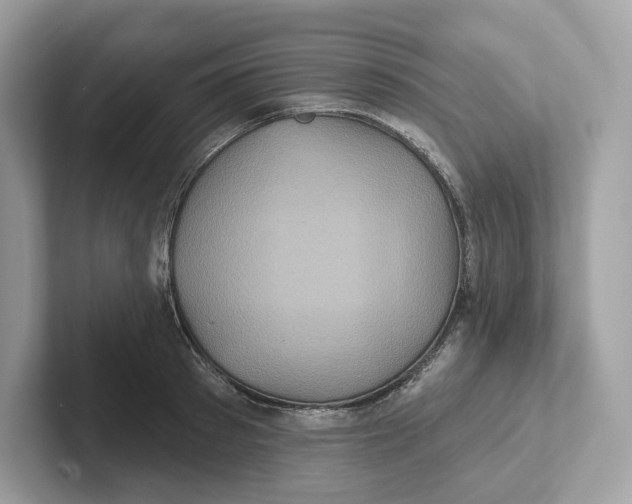 X0000101450897200807280937