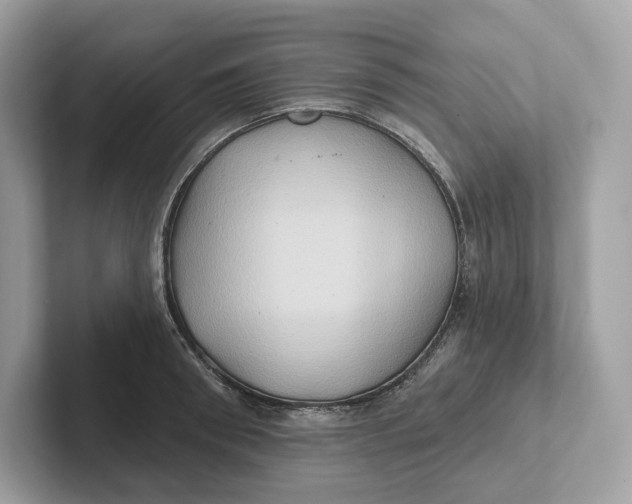 X0000101450898200807280937