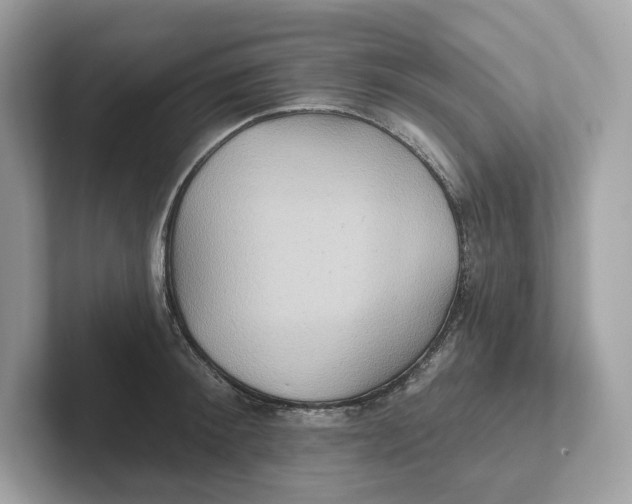 X0000101450900200807280937