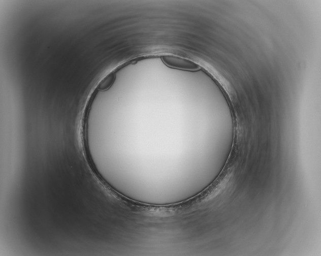 X0000101450901200807280937