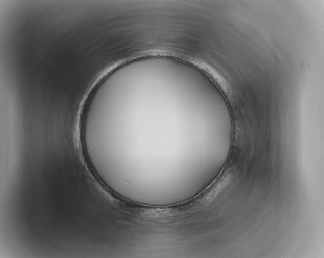 X0000101450902200807280937