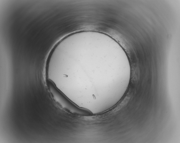 X0000101450904200807280937