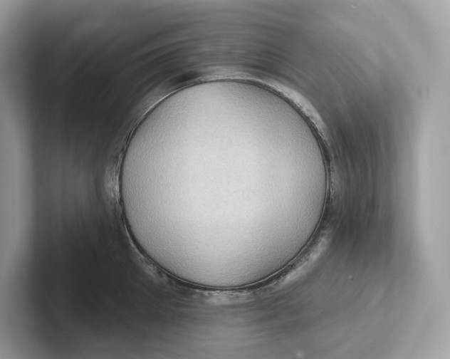 X0000101450905200807280937