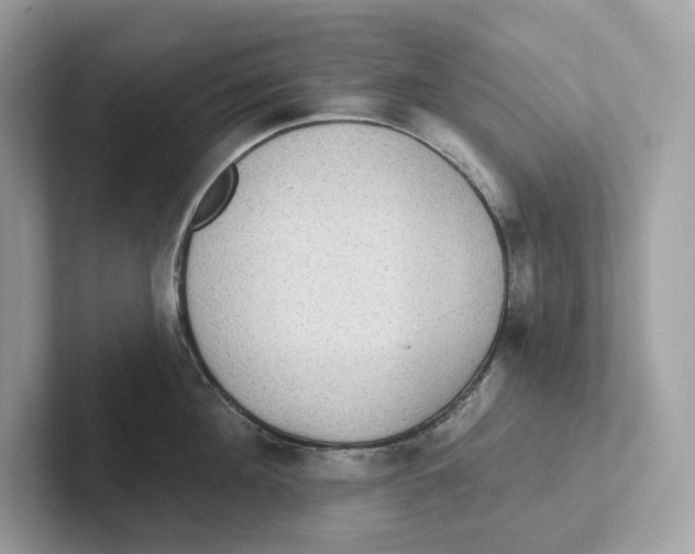 X0000101450908200807280937