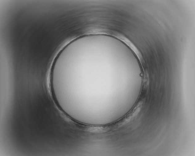 X0000101450909200807280937