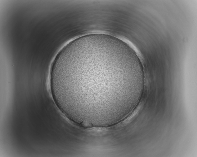 X0000101450910200807280937