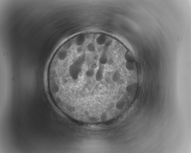 X0000101450911200807280937