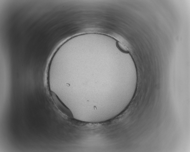 X0000101450912200807280937