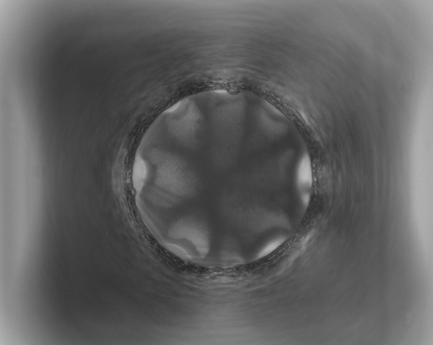 X0000101450913200807280936