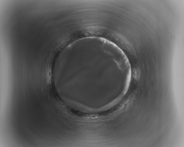 X0000101450915200807280936