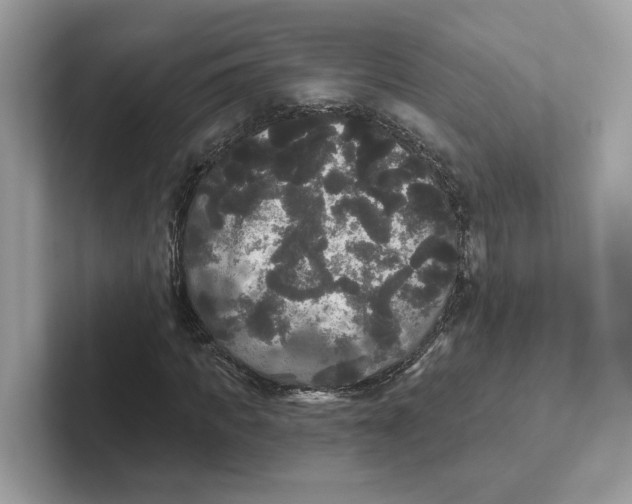 X0000101450917200807280936