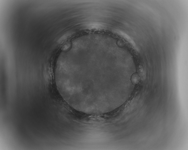 X0000101450918200807280936