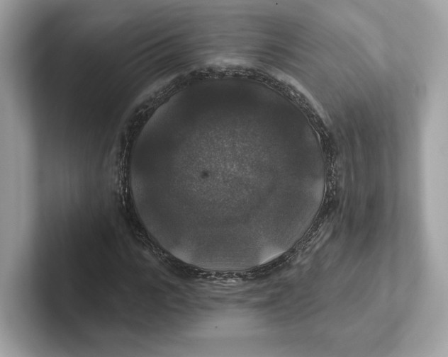 X0000101450919200807280936