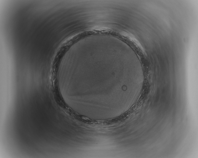 X0000101450920200807280936