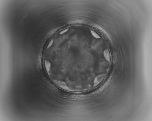 X0000101450921200807280936