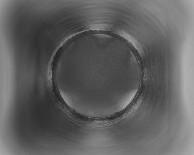 X0000101450923200807280936