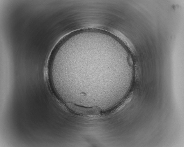 X0000101450924200807280936