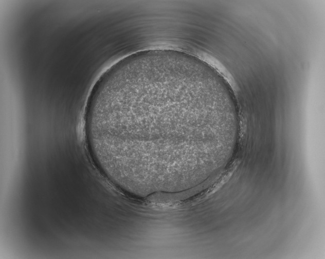 X0000101450928200807280936