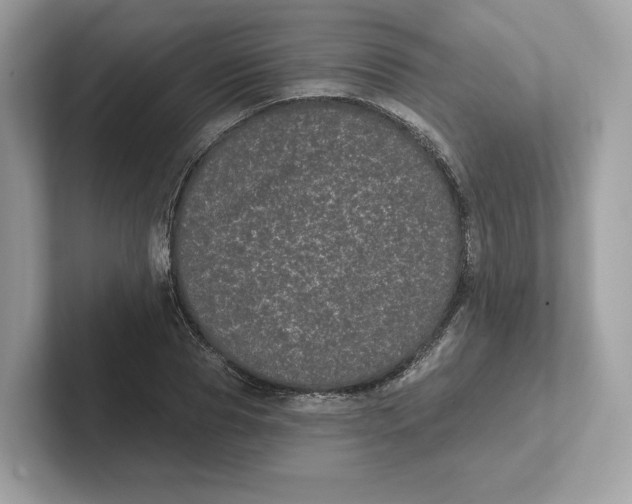 X0000101450929200807280936