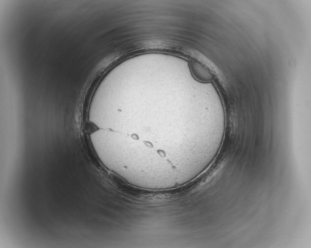 X0000101450930200807280936