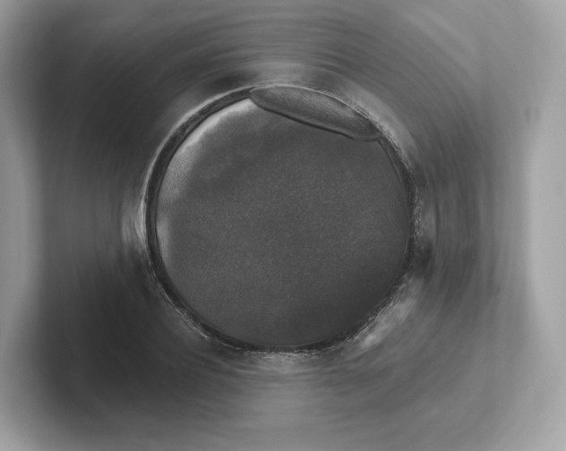 X0000101450932200807280936