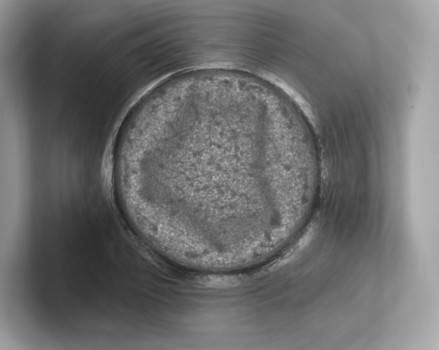 X0000101450933200807280936