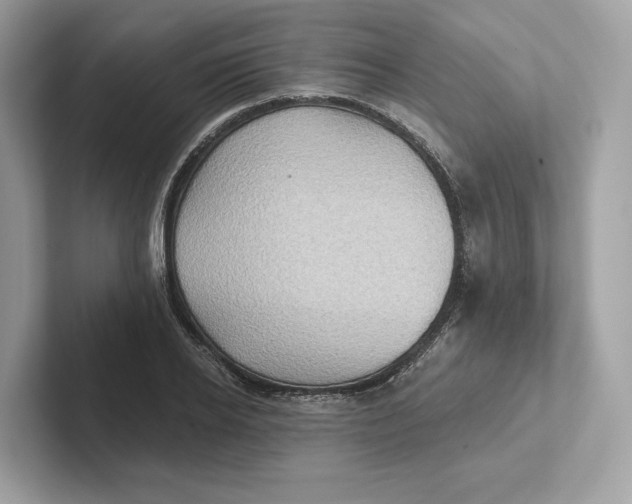 X0000101450934200807280936