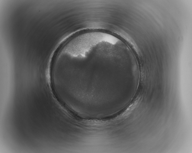 X0000101450935200807280936