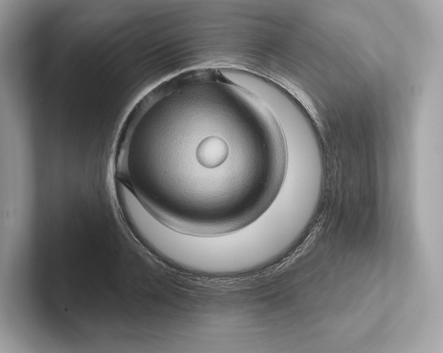 X0000101450936200807280936