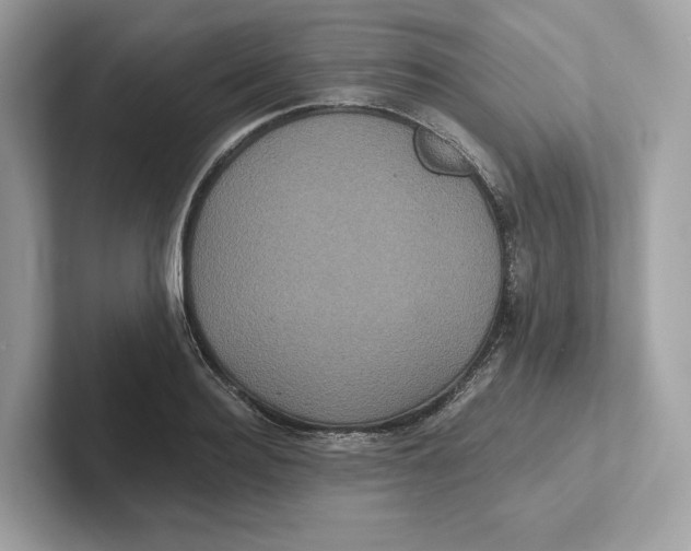 X0000101450940200807280936