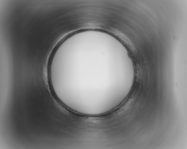 X0000101450942200807280936