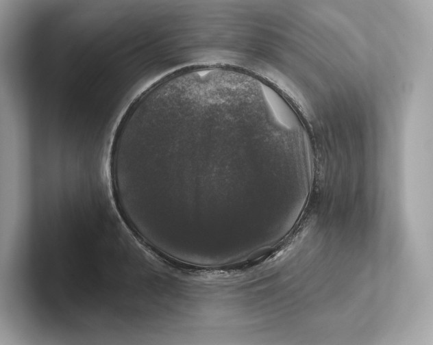 X0000101450943200807280936