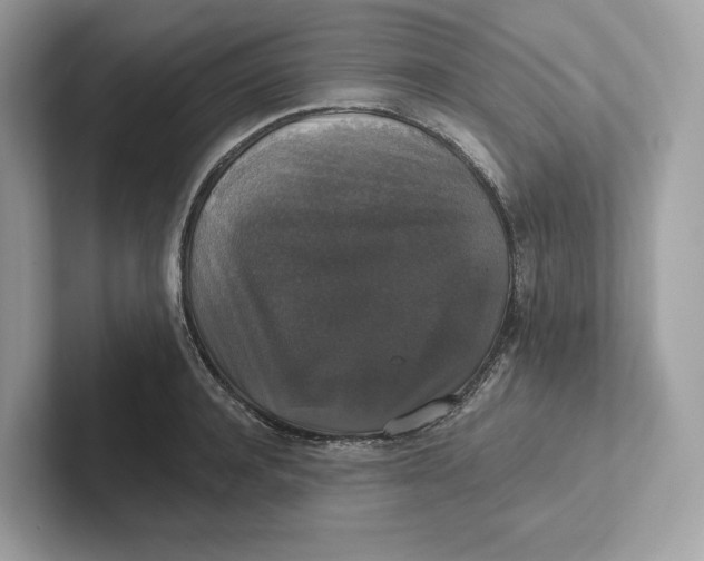 X0000101450944200807280936