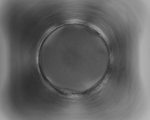 X0000101450946200807280936