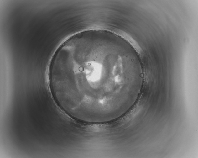 X0000101450950200807280937