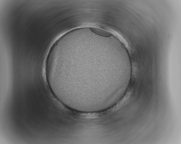 X0000101450952200807280937