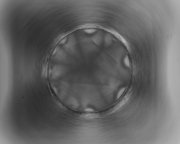 X0000101450953200807280937