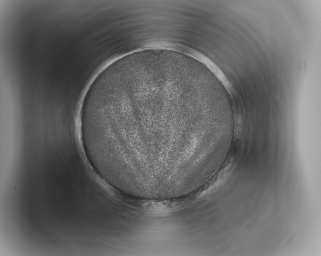 X0000101450955200807280937