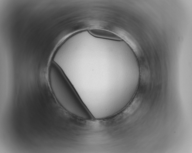 X0000101450956200807280937