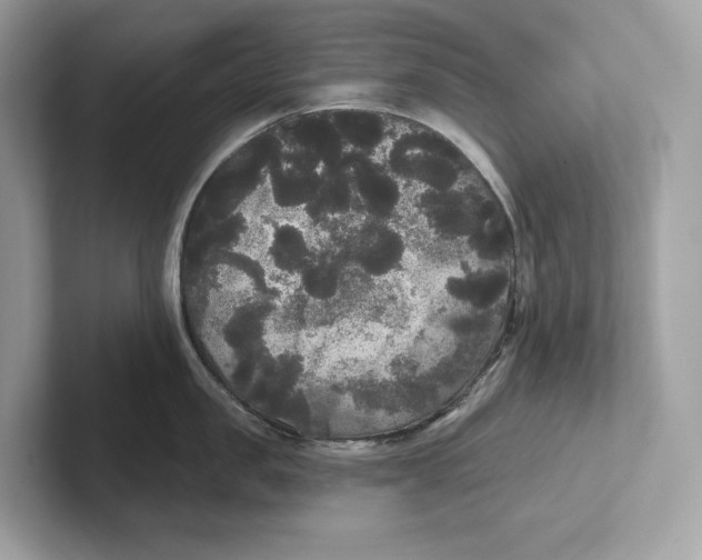 X0000101450957200807280937