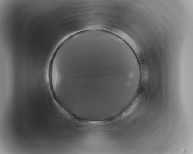 X0000101450958200807280937