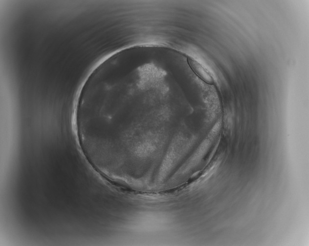 X0000101450959200807280937