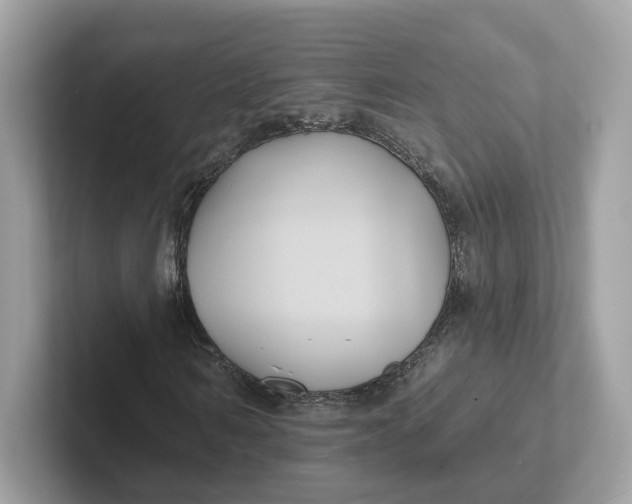 X0000101450962200807280936