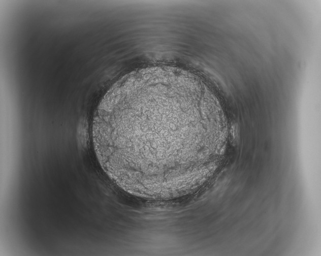 X0000101450963200807280936